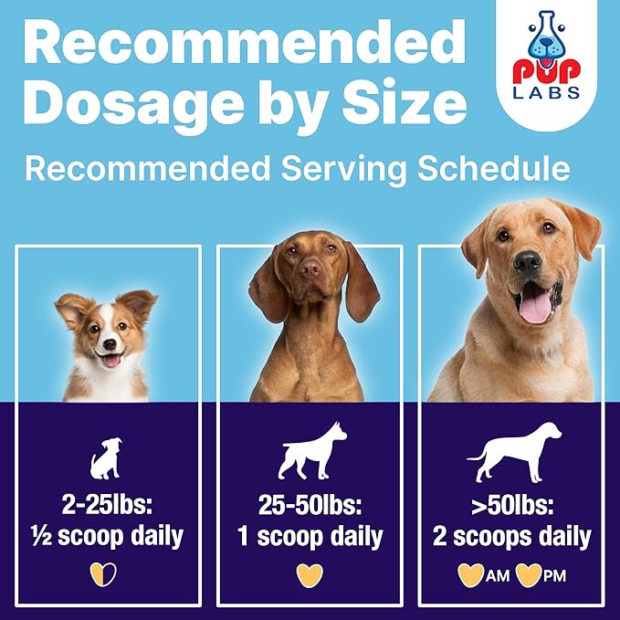 ProDenta, All-Natural Dog Dental Powder for Teeth Cleaning, Dental Powder for Dogs Teeth with Breath Freshener. Easy to use for Tartar Removal and Leaky Gums. Made in USA, 30 Servings