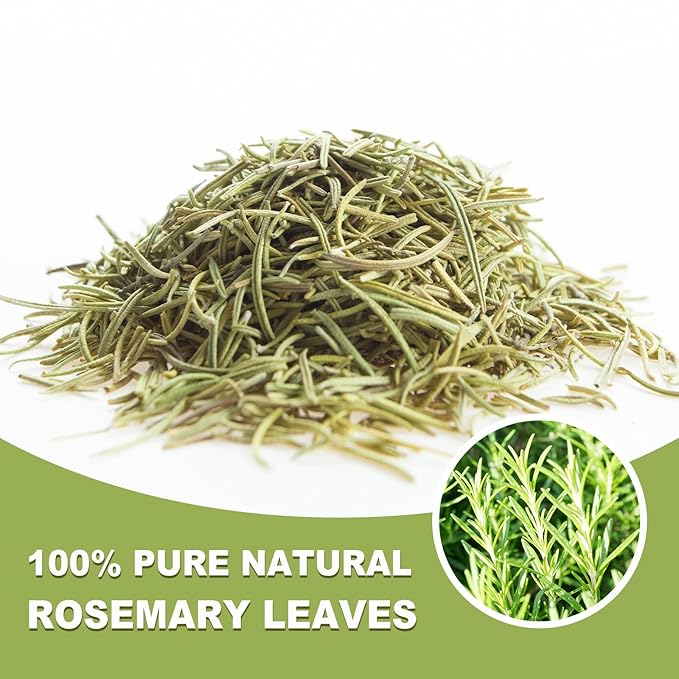 TEARELAE - Rosemary Tea - 1.5g x 50 Count - 100% Pure Rosemary Leaves Tea Bag - Country of Origin Egypt - Aid Digestion & Support Respiratory Health-StrideForce Fitness