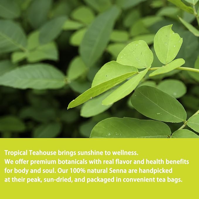 Samcci - Senna Tea, 50 Teabags, 1.5g/bag - Senna Leaf Tea for Constipation -Digestive - Poop for Promoting Digestion - Colon Cleanse -Non-GMO - Caffeine-free-StrideForce Fitness