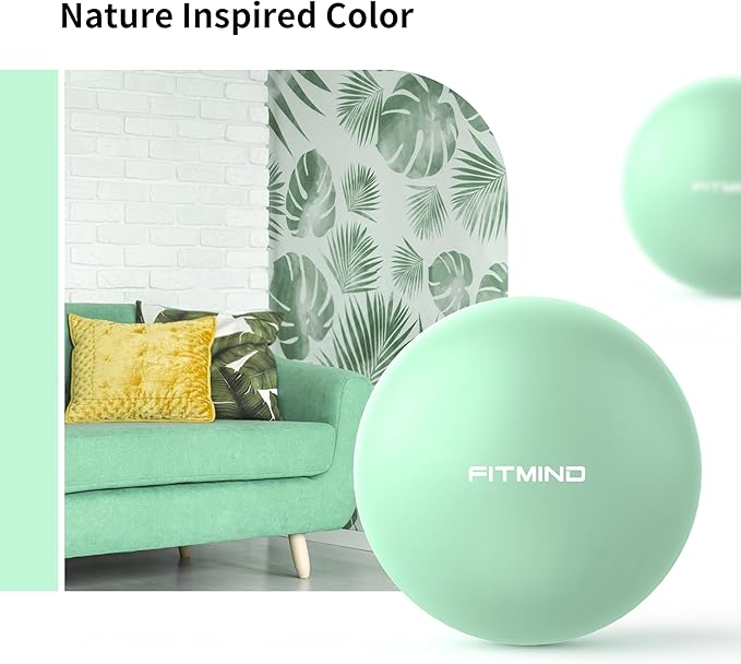 Pilates Ball - 10 Inch Core Ball for Yoga, Stability, Fitness, Ab & Core Workout, Physical Therapy-StrideForce Fitness