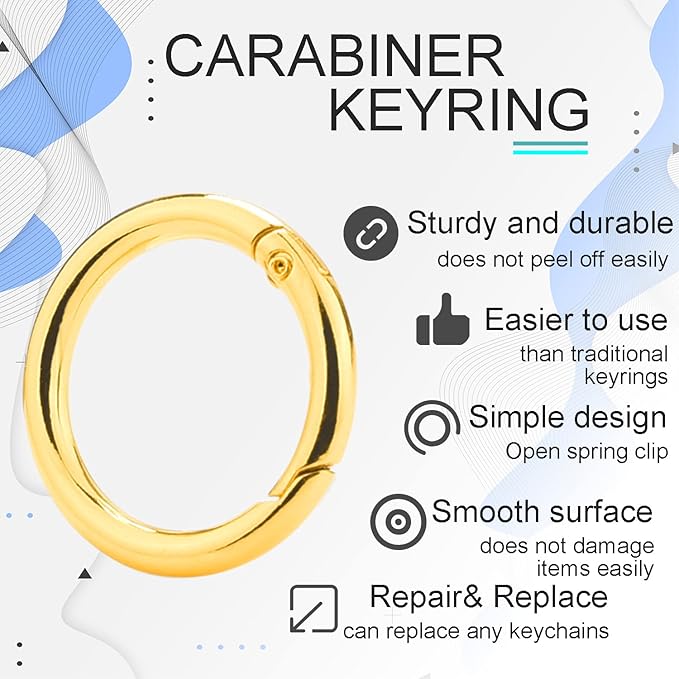 10 Pack 1 Inch Gold Spring O Rings, Metal Keychain Ring Round Carabiner Clips for Replacement Purse Ring Hardware, Keyrings Buckles, Paracord Keychain Lanyard, Home Car Keyrings Attachment-StrideForce Fitness