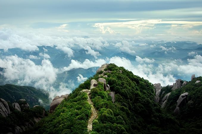 Organic Silver Needle White Tea, Greenhilltea Natural Organic Silver Needle White Tea has a savoury aroma – 8 OZ-StrideForce Fitness