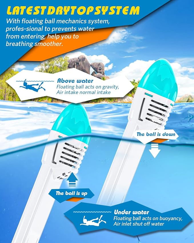 QingSong Full Face Snorkel Mask for Adults, Snorkeling Gear with Camera Mount, 180 Degree Panoramic View Snorkel Set Anti-Fog Anti-Leak-StrideForce Fitness