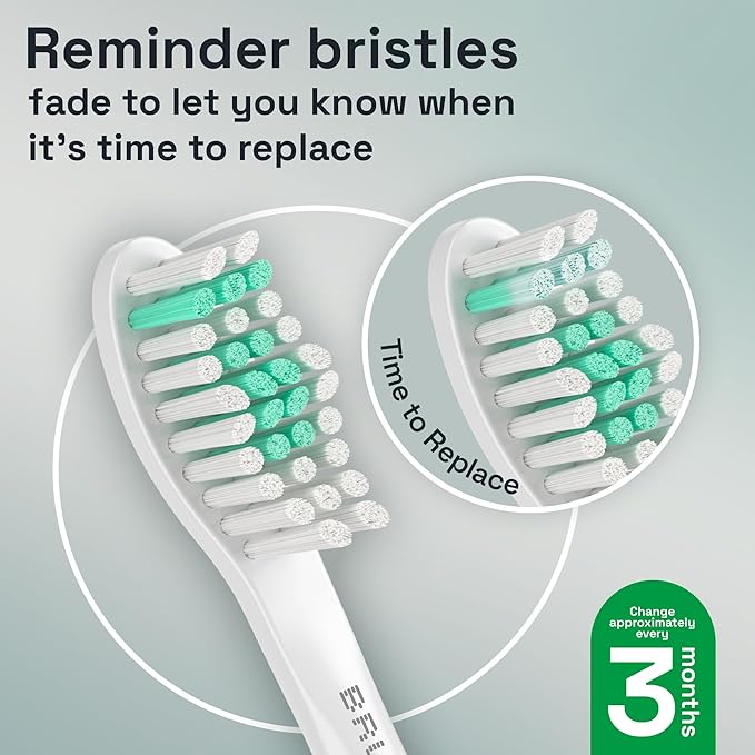 Brushmo e-Series Total Clean Replacement Toothbrush Heads, Compatible with Philips Sonicare Screw-on Electric Toothbrush Handles, 6 Standard Heads, Medium Firm Dupont Bristles, BM726-bw, White
