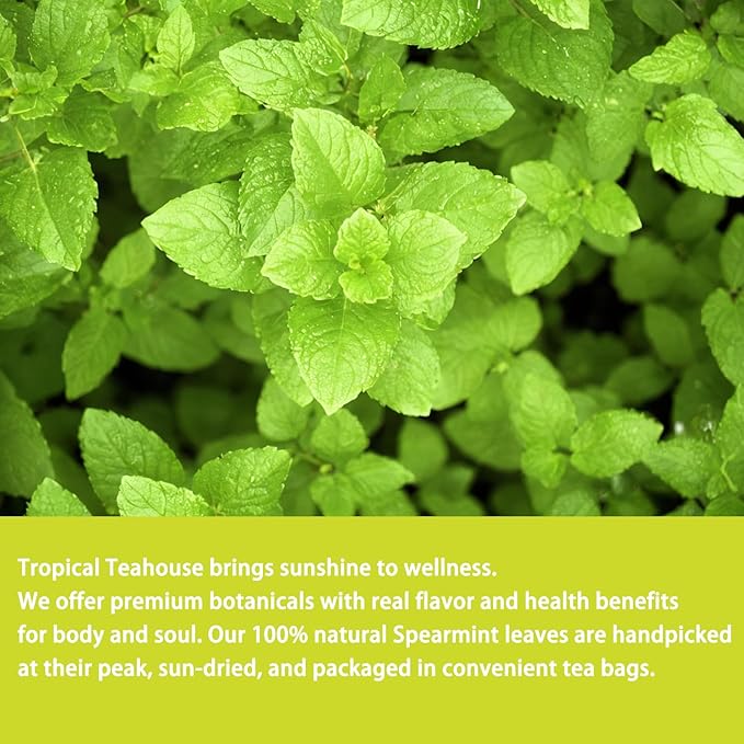 Samcci - Spearmint Tea Bags, 40 Teabags, 1.5g/bag - Pure Spearmint Leaves - Non-GMO - Caffeine-free Herbal Tea - Hormone Balance & Support Digestion & Natural Breath Freshener-StrideForce Fitness