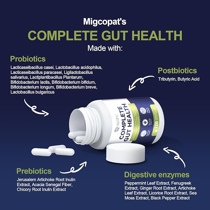 Probiotics for Digestive Health, 80 Billion CFU Probiotics, Prebiotics, Postbiotics & Digestive Enzymes, Gut Health Capsules with Berberine, Cinnamon, L-Glutamine, for Men & Women, 240 Counts-StrideForce Fitness