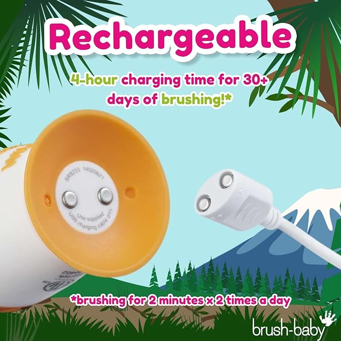 brush-baby - Kids Rechargeable Electric Toothbrush, 0-10 Years - WildOnes, Bear Design with Flashing Lights - DeepClean Bristles for Superior Clean - 2X Replacement Heads, 1x USB Cable