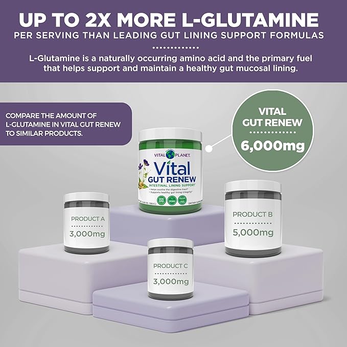 Vital Planet - Vital Gut Renew Powder Supplement for Leaky Gut Repair with L-Glutamine, Marshmallow and Ginger Root, DGL Licorice Root and Organic Aloe Vera, L Glutamine 6000mg 6.88 oz-StrideForce Fitness