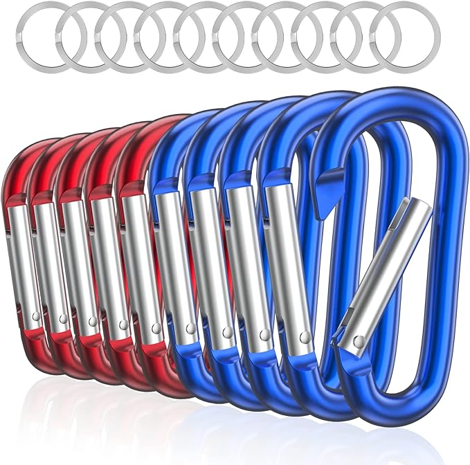 sprookber 3" Aluminum Carabiner D Ring, Caribeener Clips, Spring Snap Hook for Keychain Clip, Set of 10-StrideForce Fitness