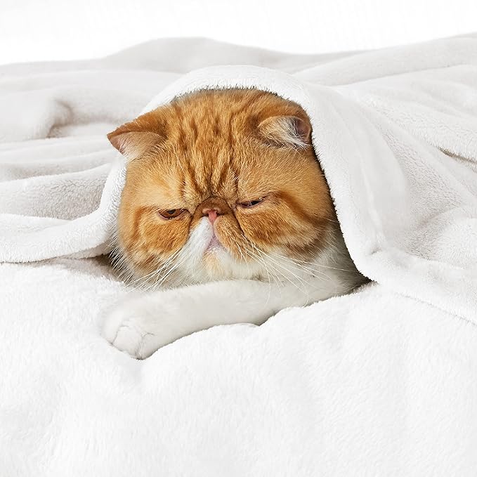 Bedsure Fleece Blankets Queen Size White - Bed Blanket Soft Lightweight Plush Fuzzy Cozy Luxury Microfiber, 90x90 inches-StrideForce Fitness