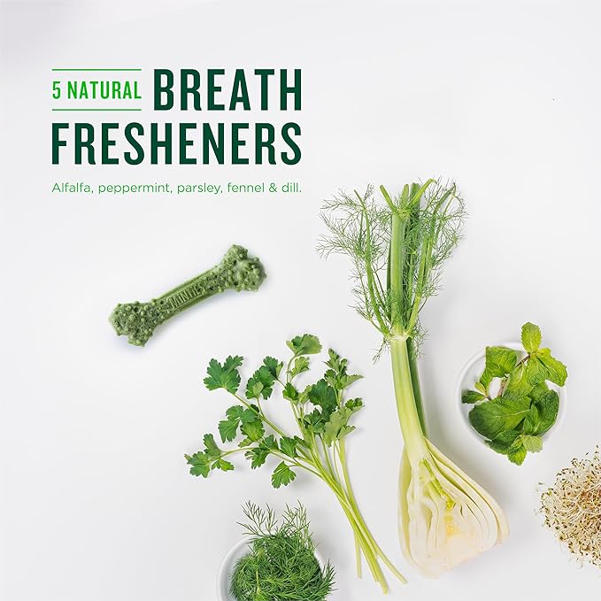 Minties Dog Dental Bone Treats, Tiny/Small Dental Dog Treats, Clean Teeth, Fight Bad Breath, Removes Plaque and Tartar, 80 Count