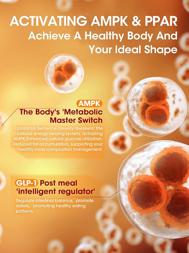 Liposomal Berberine HCL1300mg - Berberine Supplement with Ceylon Cinnamon Activates GLP-1 & AMPK - High Absorption Formula Healthy Weight Support – Non-GMO/Vegan – 30-Day-StrideForce Fitness