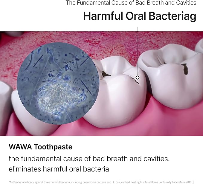 ROROBELL Wawa Toothpaste Made for My Boyfriend's Bad Breath, Sensitive Teeth, Improvement of Gum Problems/Peppermint Flavor/Made with Wasabi I 3.53 fl.oz (Pack of 3)