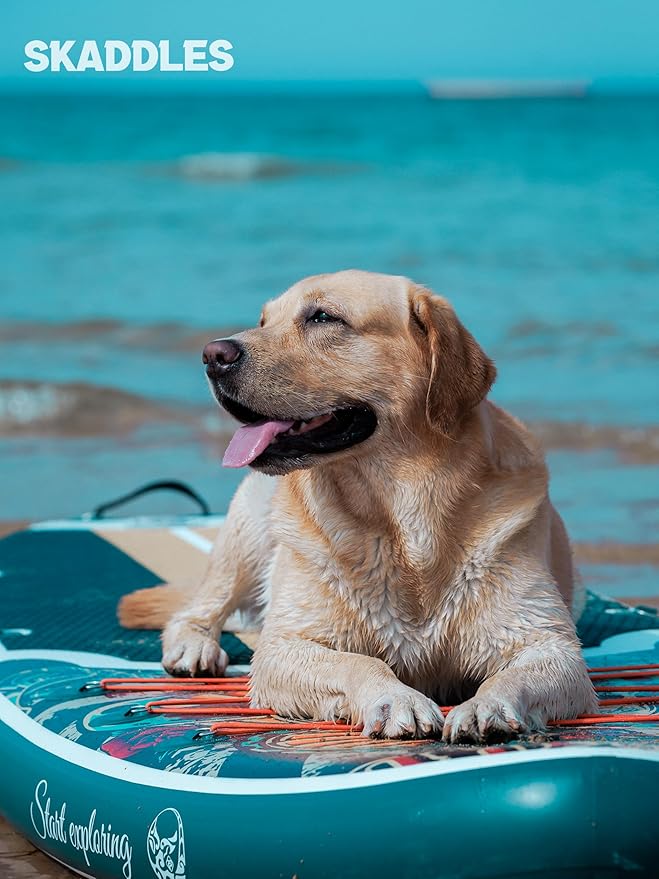 10’6’’ Portable Inflatable Stand Up Paddle Board (SUP) for Adults and Youth with Non-Slip Deck – Complete Accessories Kit, Perfect for Fishing, Yoga, Fitness & Family Fun-StrideForce Fitness