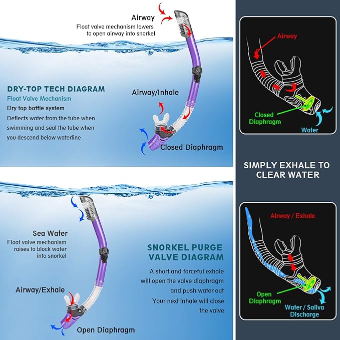 ZEEPORTE Mask Fin Snorkel Set, Travel Size Snorkeling Gear for Adults with Panoramic View Anti-Fog Mask, Trek Fins, Dry Top Snorkel and Gear Bag for Swimming Training, Snorkeling Kit Diving Packages-StrideForce Fitness