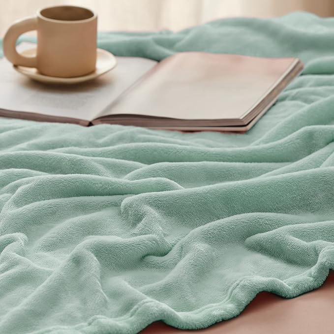 Bedsure Sage Green Fleece Blankets Queen Size - 280GSM Soft Lightweight Plush Cozy Blanket for Bed, Sofa, Couch, Travel, Camping-StrideForce Fitness