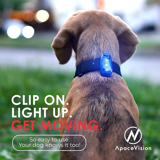 LED Safety Light (2 Pack) - Clip On Strobe/Running Lights for Runners, Dog, Bike, Walking, Boat, Kayak, Stroller and More - High Visibility Accessories for Your Reflective Gear, Bicycle-StrideForce Fitness