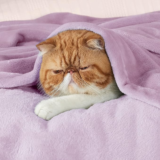 Bedsure Fleece Blanket Twin Size Lilac - 300GSM Lightweight Plush Fuzzy Cozy Soft Warm Blanket for Bed, Sofa, Couch, Travel, Camping, 60x80 inches-StrideForce Fitness