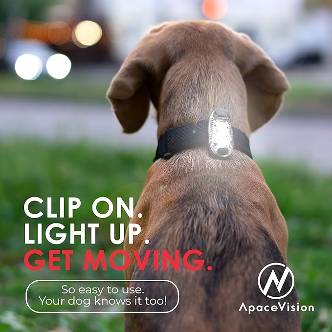 LED Safety Light (2 Pack) - Clip On Strobe/Running Lights for Runners, Dog, Bike, Walking, Boat, Kayak, Stroller and More - High Visibility Accessories for Your Reflective Gear, Bicycle-StrideForce Fitness