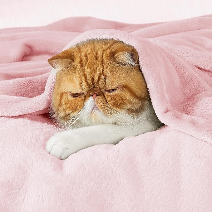 Bedsure Pink Fleece Throw Blanket for Couch - 300GSM Cozy Soft Blankets for Women, Cute Small Fleece Throws for Girls, Pink Home Decor Gifts, 50x60 Inches-StrideForce Fitness