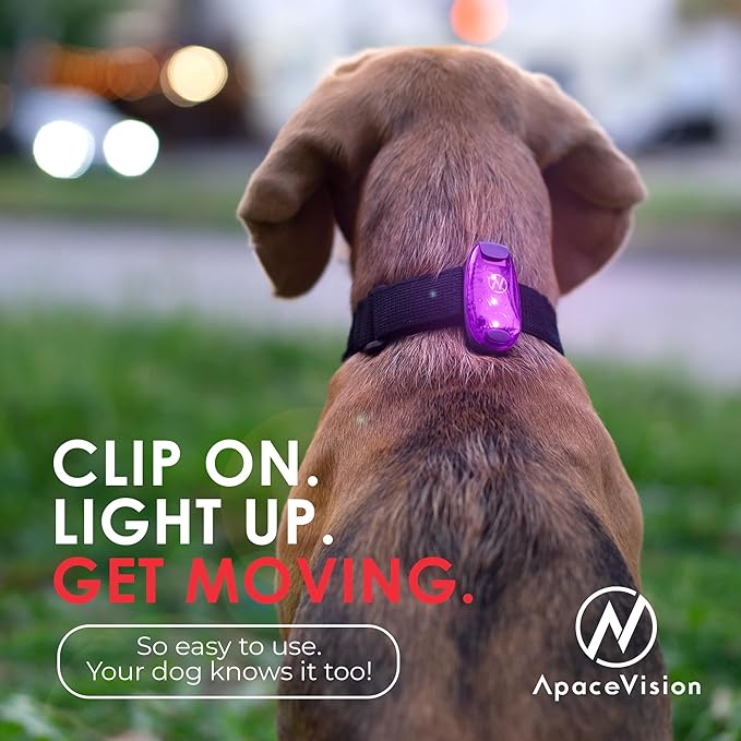 LED Safety Light (2 Pack) - Clip On Strobe/Running Lights for Runners, Dog, Bike, Walking, Boat, Kayak, Stroller and More - High Visibility Accessories for Your Reflective Gear, Bicycle-StrideForce Fitness