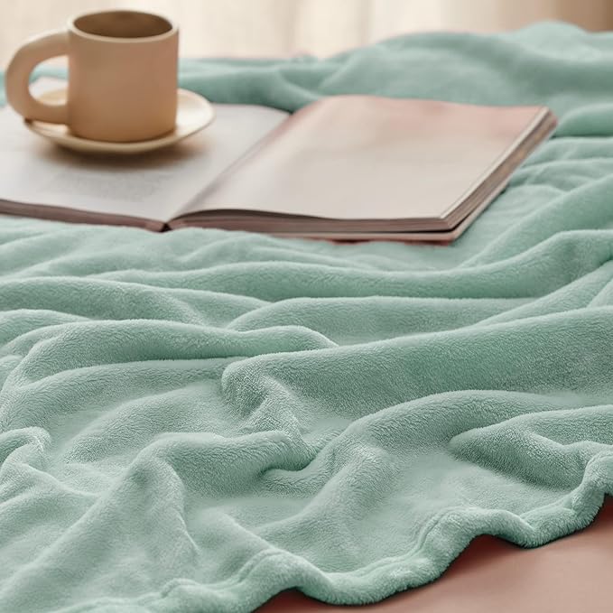 Bedsure Fleece Bed Blankets Full Size Sage Green - Soft Lightweight Plush Fuzzy Cozy Luxury Blanket Microfiber, 84x90 inches-StrideForce Fitness