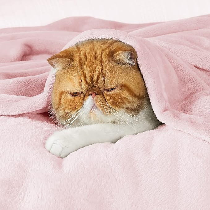 Bedsure Pink Fleece Blanket - 300GSM Soft Lightweight Plush Cozy Blankets for Bed, Sofa, Couch, Travel, Camping, 50x70 inches-StrideForce Fitness