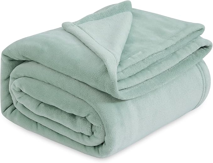 Bedsure Sage Green Fleece Blankets Queen Size - 280GSM Soft Lightweight Plush Cozy Blanket for Bed, Sofa, Couch, Travel, Camping-StrideForce Fitness