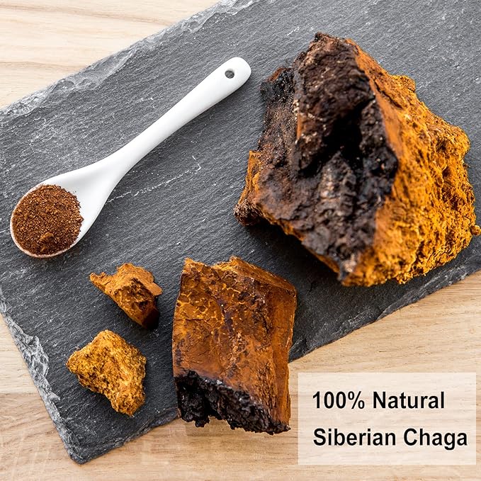 TEARELAE - Chaga Tea - 2g x 40 Count - Wild Harvest from Siberia - 100% Pure Natural Chaga Mushroom Tea Bag - Additive-Free - Non-GMO - Caffeine-free-StrideForce Fitness