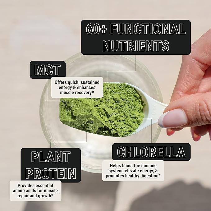 ON3 Athletic Protein Greens Supplement with chlorella, eleuthero and MCT Powder (5 Servings, Herbal)-StrideForce Fitness