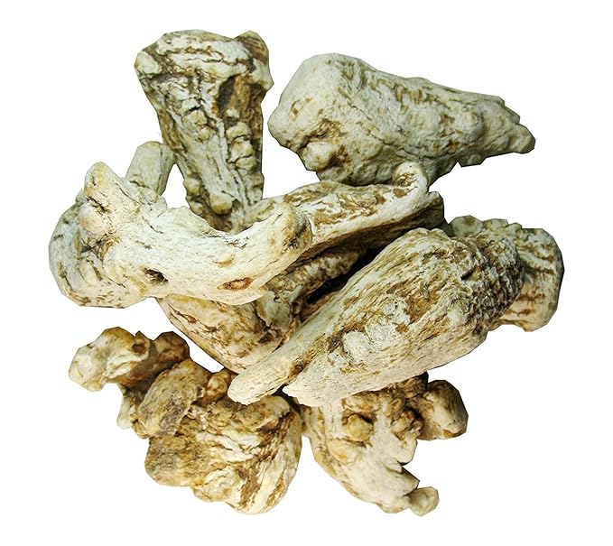 Green Hill Tea Astragalus Root Tea – Dried Astragalus root for Herbal Infusion - Traditional Chinese Herbal Tea - Caffeine-Free, Gluten-Free, Vegan - Rich in Antioxidants當歸 当归 5 OZ-StrideForce Fitness