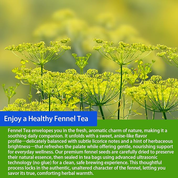 Samcci - Fennel Tea,4g×40 Teabags,100% Natural & Pure Fennel Seeds Herbal Tea - Non-GMO - Caffeine-free - Helps Improve Digestion & Immune System-StrideForce Fitness