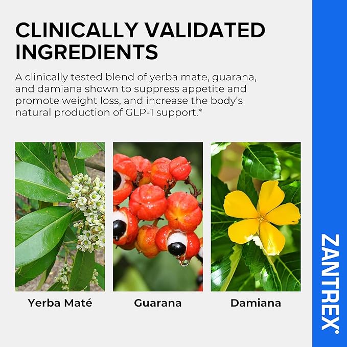 Zantrex Blue Energy & Thermogenesis Boost Energy | Weight Loss Supplement for Appetite Control, Increased Calorie Burn and Supports GLP-1 Levels | 84 Capsules-StrideForce Fitness