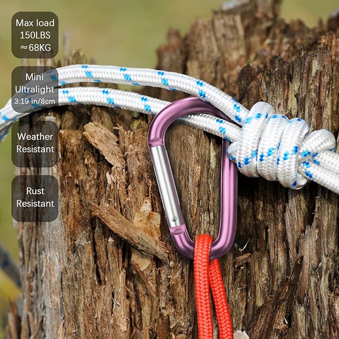 sprookber 3" Aluminum Carabiner D Ring, Caribeener Clips, Spring Snap Hook for Keychain Clip, Set of 10-StrideForce Fitness