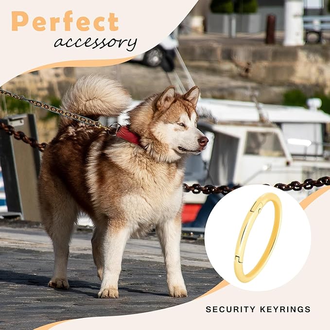 10Pack 1-1/2" Large Round Carabiner Clips, Metal Spring O Rings for Organizer Key Rings, Paracord Keychain Lanyard, Pet Chains, Purse Hardware, Key Snap Hooks DIY Accessory (Gold)-StrideForce Fitness