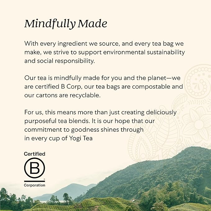 Yogi Tea DeTox Tea - 16 Tea Bags per Pack (4 Packs) - Organic Detox Tea for Digestive & Circulation Support - Includes Burdock, Dandelion, Ginger Root, Black Pepper, Cardamom & Juniper Berry-StrideForce Fitness