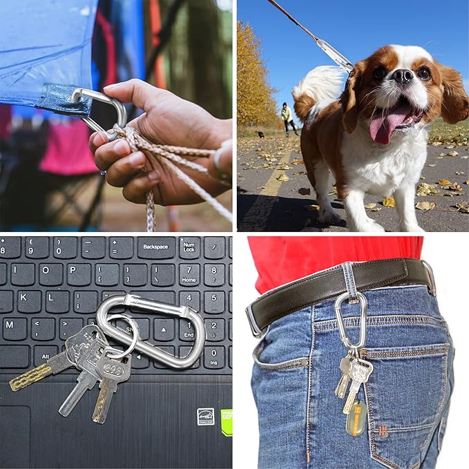 sprookber 3" Aluminum Carabiner D Ring, Caribeener Clips, Spring Snap Hook for Keychain Clip, Set of 10-StrideForce Fitness