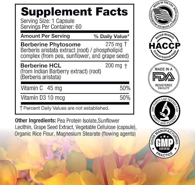 Berberine - High Absorption - 2200mg Equivalent - Herbal Supplement - Lower Blood Glucose - Helps Cholesterol - 60 Capsules-StrideForce Fitness