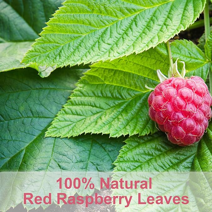 TEARELAE - Raspberry Leaf Tea - 1.5g x 60 Count - Premium Red Raspberry Leaves Tea Bags - Promote a Healthy Pregnancy, Ease Menstrual Cramp - Non-GMO - Caffeine-Free-StrideForce Fitness