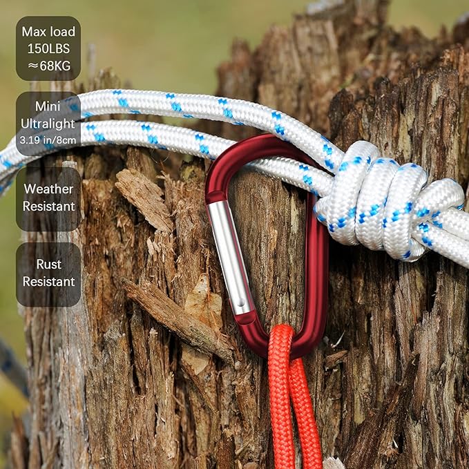 sprookber 3" Aluminum Carabiner D Ring, Caribeener Clips, Spring Snap Hook for Keychain Clip, Set of 10-StrideForce Fitness