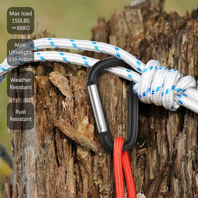 sprookber 3" Aluminum Carabiner D Ring, Caribeener Clips, Spring Snap Hook for Keychain Clip, Set of 10-StrideForce Fitness