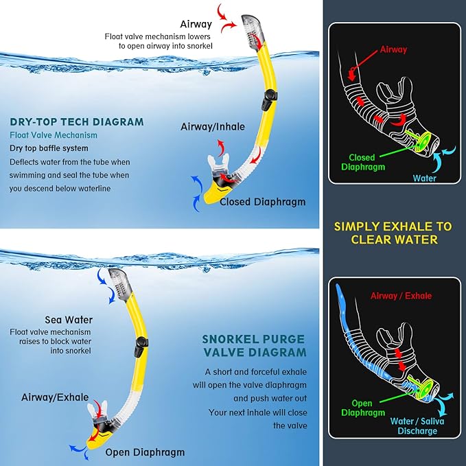 ZEEPORTE Mask Fin Snorkel Set, Travel Size Snorkeling Gear for Adults with Panoramic View Anti-Fog Mask, Trek Fins, Dry Top Snorkel and Gear Bag for Swimming Training, Snorkeling Kit Diving Packages-StrideForce Fitness