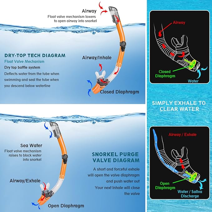 ZEEPORTE Mask Fin Snorkel Set, Travel Size Snorkeling Gear for Adults with Panoramic View Anti-Fog Mask, Trek Fins, Dry Top Snorkel and Gear Bag for Swimming Training, Snorkeling Kit Diving Packages-StrideForce Fitness