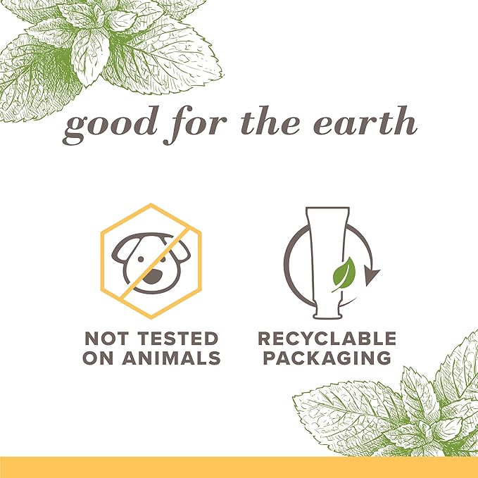 Burt's Bees, Toothpaste Fluoride Free Purely White Zen oz, Peppermint, 4.7 Ounce