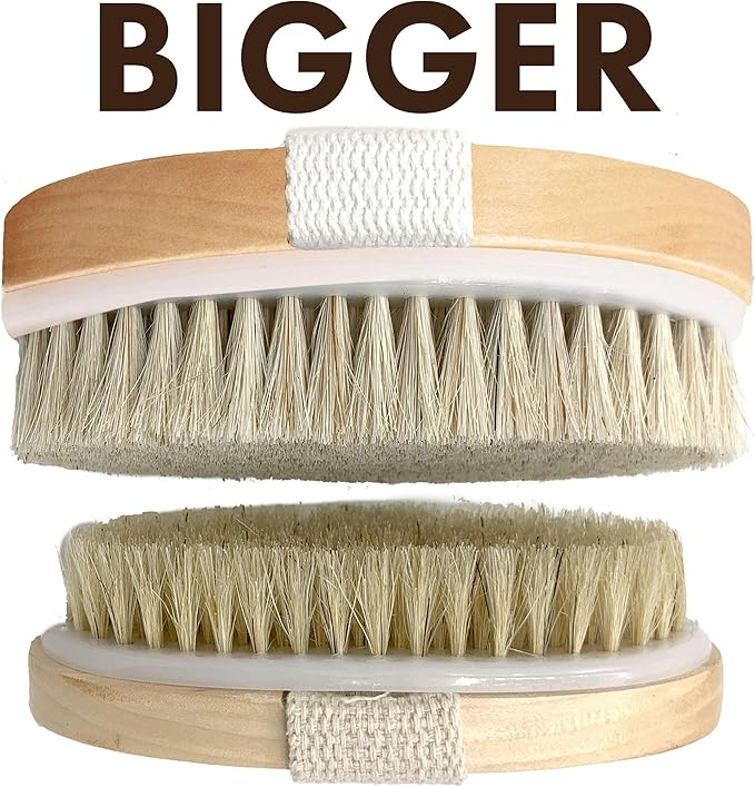 Dry Brushing Body Brush SCALA Natural Bristle Body Brush, Soft Body Exfoliating Brush Scrub for Dead Skin, Cellulite, Lymphatic Drainage, Blood Flow – Thicker & Stronger Medium Strength-StrideForce Fitness