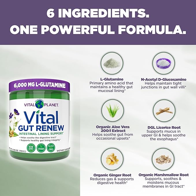 Vital Planet - Vital Gut Renew Powder Supplement for Leaky Gut Repair with L-Glutamine, Marshmallow and Ginger Root, DGL Licorice Root and Organic Aloe Vera, L Glutamine 6000mg 6.88 oz-StrideForce Fitness