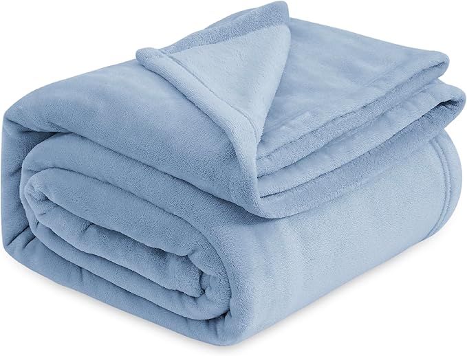 Bedsure Fleece Bed Blankets Queen Size Light Blue - Soft Lightweight Plush Fuzzy Cozy Luxury Blanket Microfiber, 90x90 inches-StrideForce Fitness