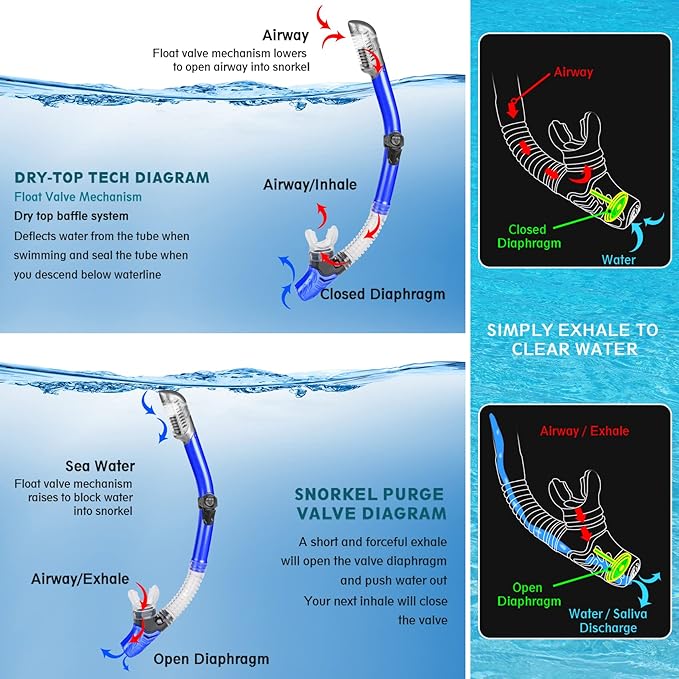 ZEEPORTE Mask Fin Snorkel Set, Travel Size Snorkeling Gear for Adults with Panoramic View Anti-Fog Mask, Trek Fins, Dry Top Snorkel and Gear Bag for Swimming Training, Snorkeling Kit Diving Packages-StrideForce Fitness