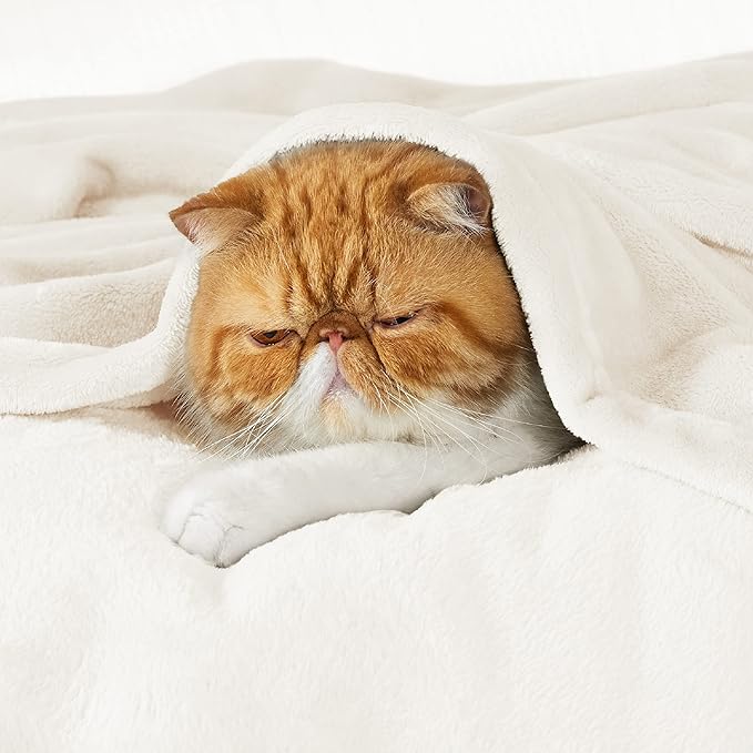 Bedsure Fleece Blankets King Size Cream - Bed Blanket Soft Lightweight Plush Cozy Fuzzy Luxury Microfiber, 108x90 inches-StrideForce Fitness