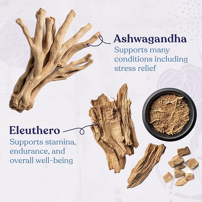 Four Sigmatic Organic Balance Adaptogen Ground Coffee | Medium Roast USDA Organic Coffee with Ashwagandha, Chaga Mushroom, Eleuthero and Tulsi for Focus and Energy Boosting | 12oz Bag-StrideForce Fitness